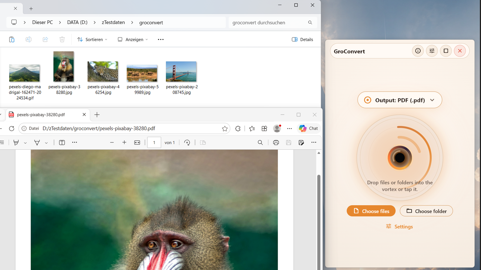 GroConvert Screenshot