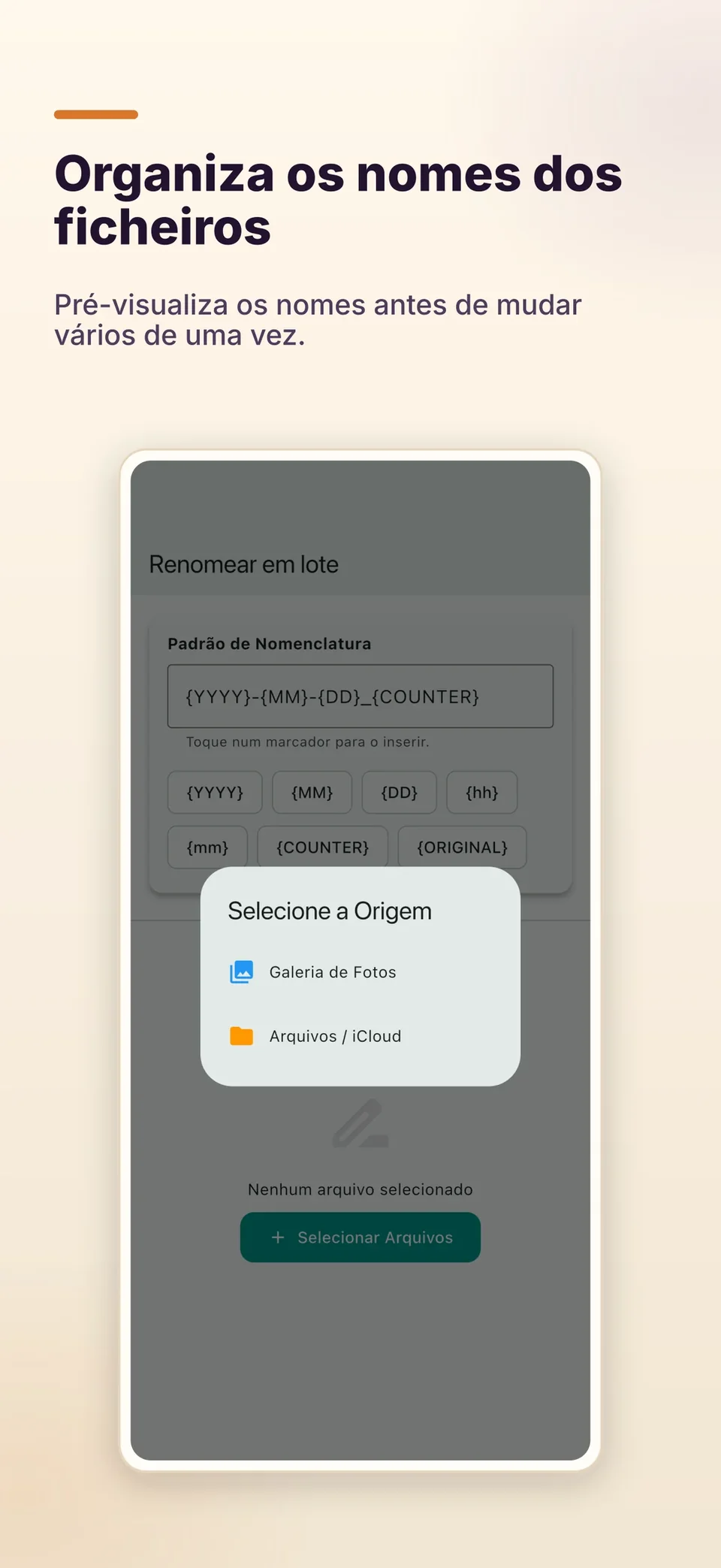 Organiza os nomes dos ficheiros