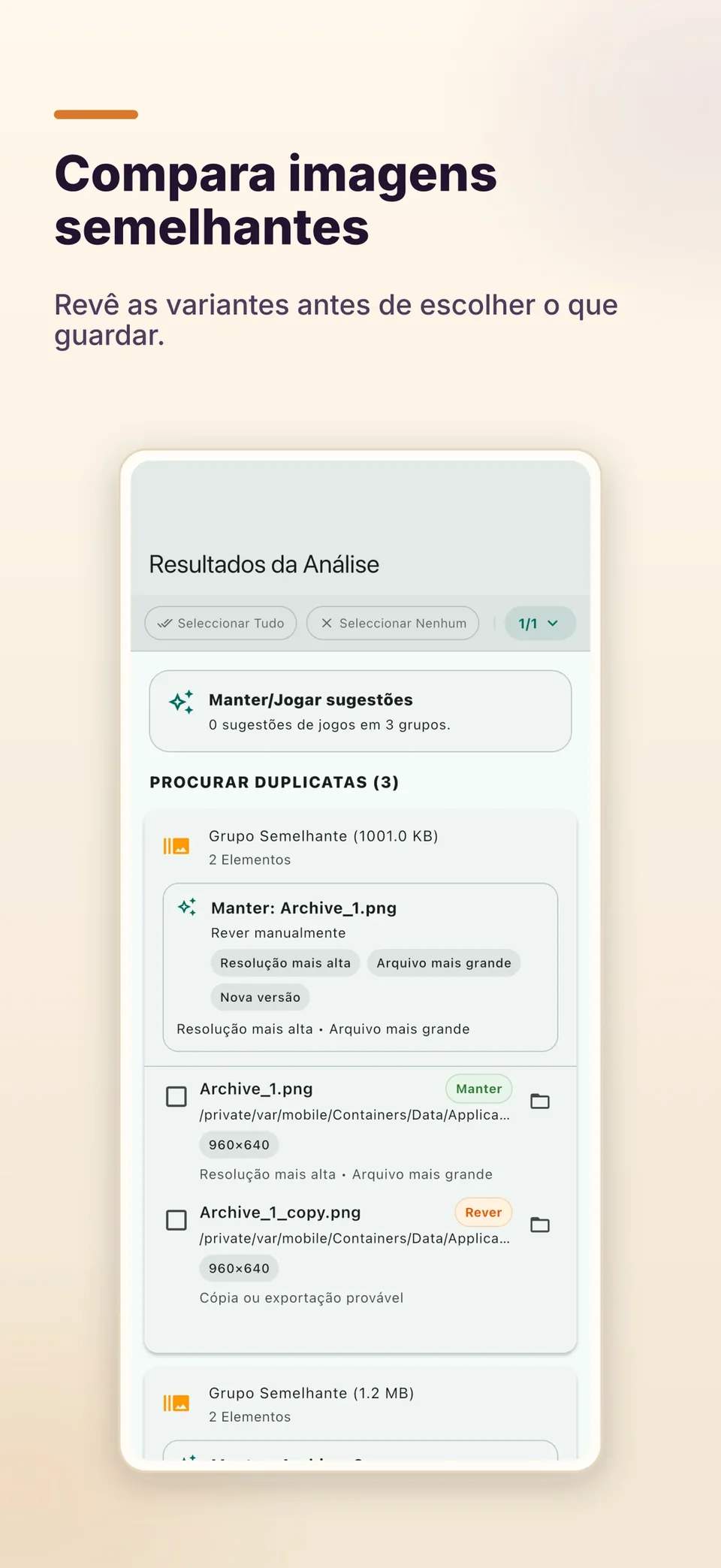 Compara imagens semelhantes