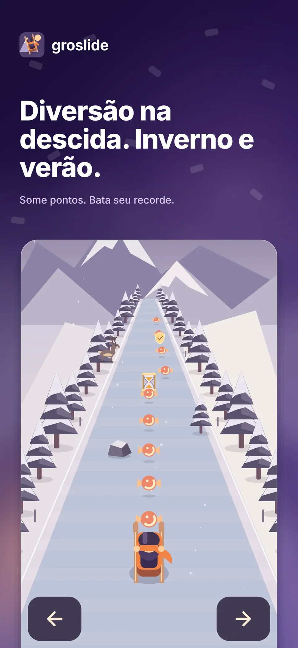 groslide: Diversão na descida. Inverno e verão.